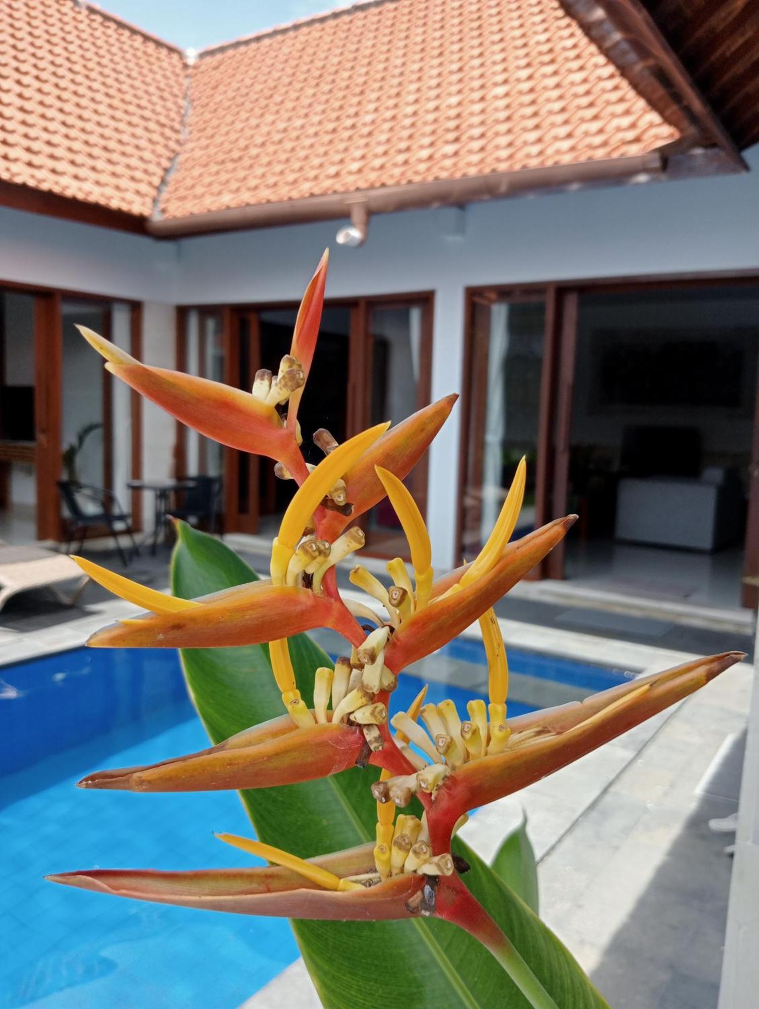 Pondok Indah Villa Ujung Extérieur photo